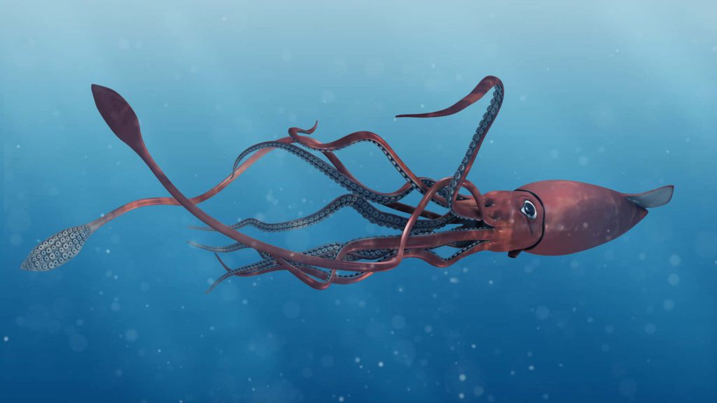 3D giant squid CGI wallpaper showing detailed tentacles drifting in serene blue ocean depths