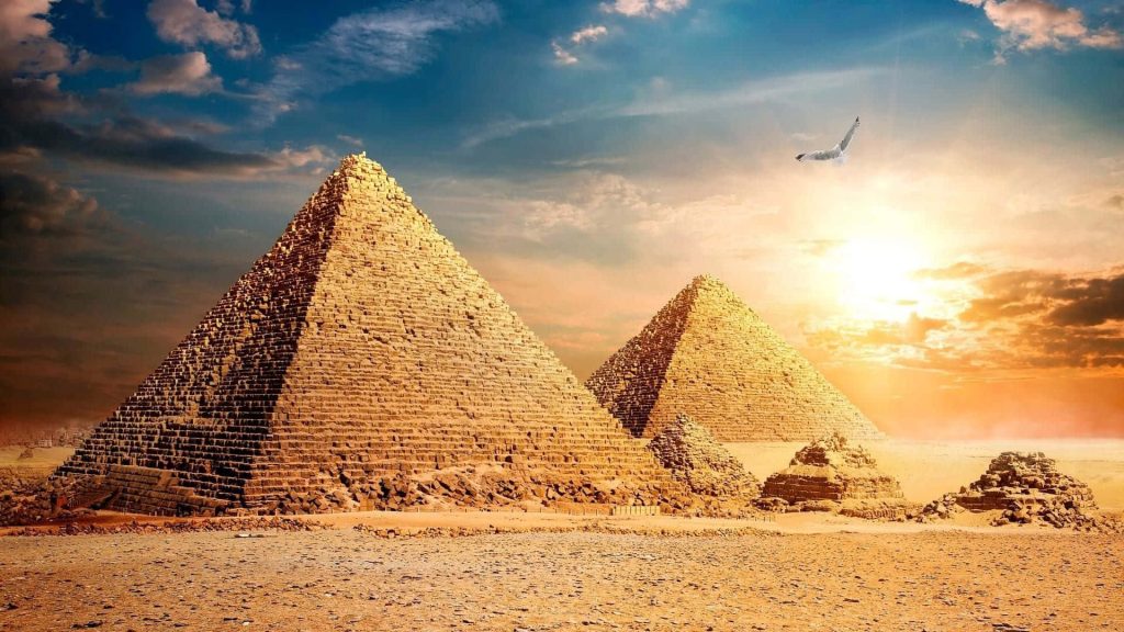 Sunset over Giza Pyramids with golden light and lone bird in serene ancient desert scene wallpaper