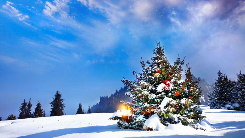 Enchanting Winter Wonderland: Vibrant Bokeh Effects Illuminate Majestic Pine Tree in 8k Christmas Background Wallpaper