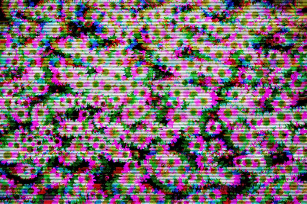Glitchcore daisy field wallpaper with neon colors chromatic aberration and retro scan lines