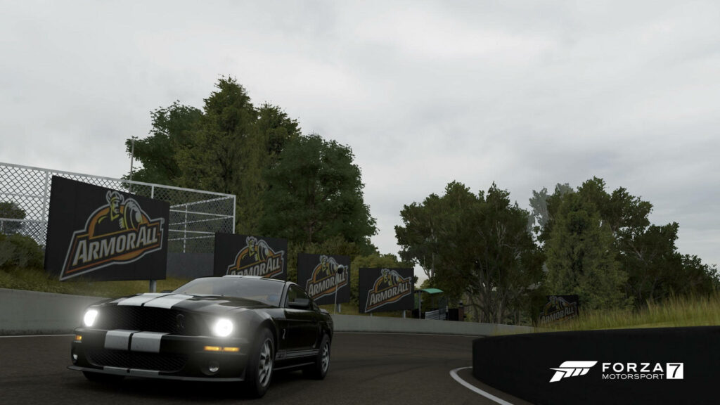 Speed Demons Roar: Thrilling Black Mustang Tackling Curves amidst Majestic Forest in Forza Motorsport 7 Wallpaper