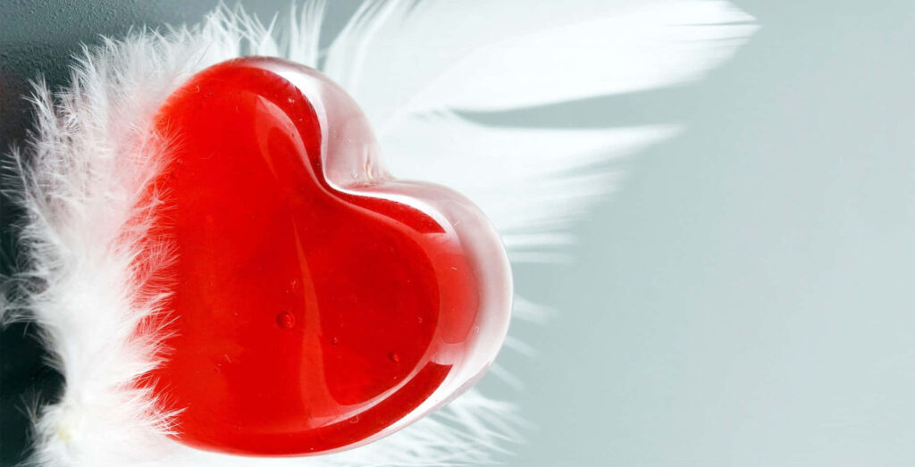 Glossy Red Heart on Soft White Feathers – Romantic Wallpaper Background