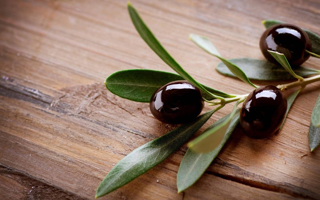 Glossy ripe black olives on green branch over rustic wooden surface with soft natural light Wallpaper