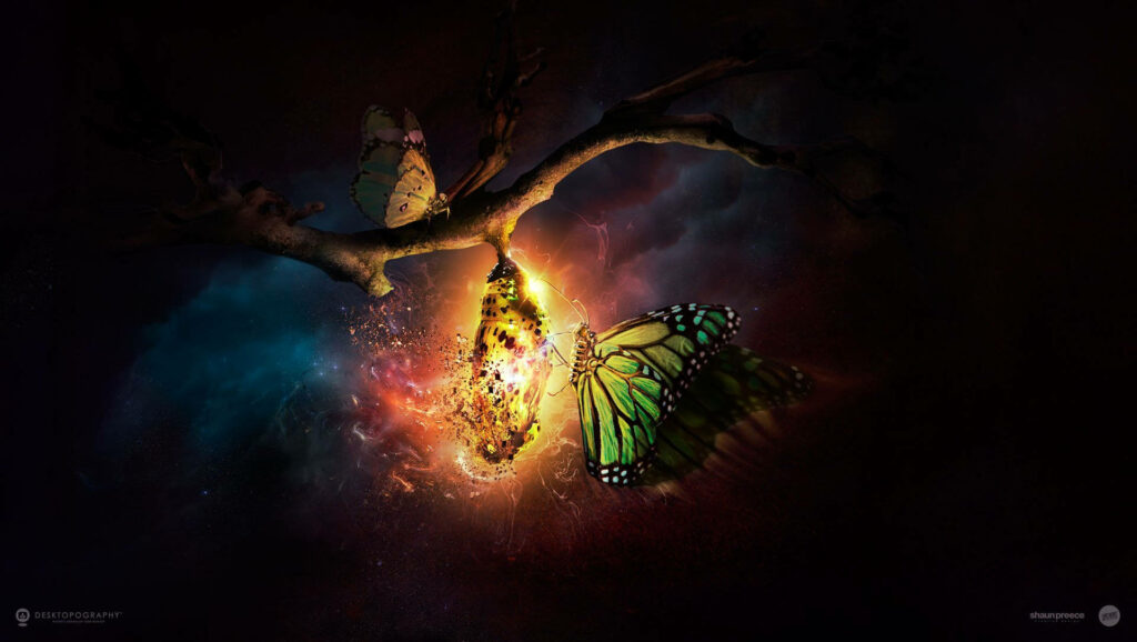 Glowing Cocoon Wallpaper: Mystical Branch & Vibrant Butterflies