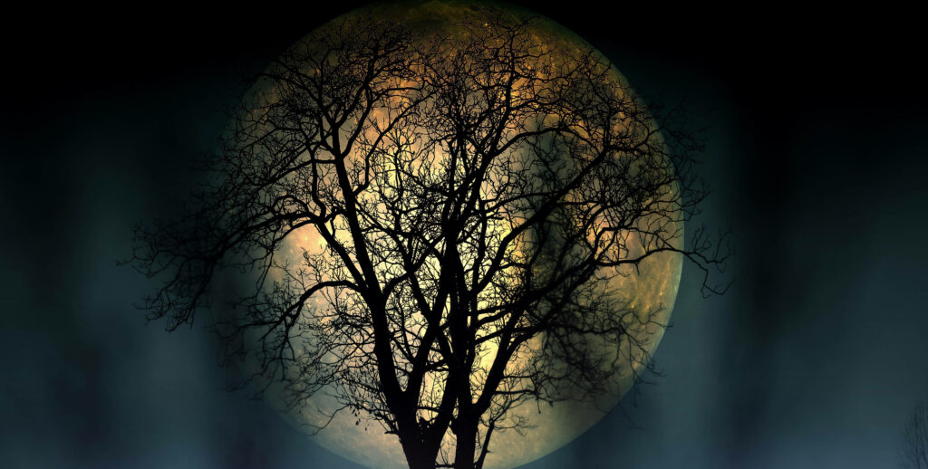 Glowing Full Moon Wallpaper - Night Sky with Tree Silhouette