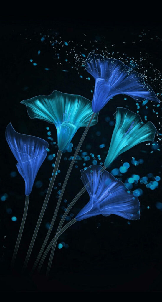 Glowing Neon Morning Glory: A Captivating Aesthetic in Darkness Wallpaper
