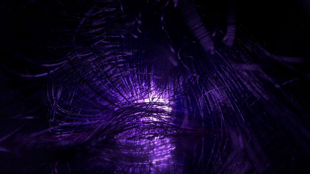 Macro Abstract Wallpaper: Glowing Purple Threads Design Background