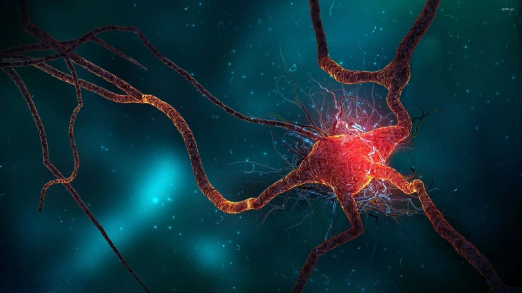 Glowing red neuron 3D digital art on teal background detailed microscopic nerve cell wallpaper