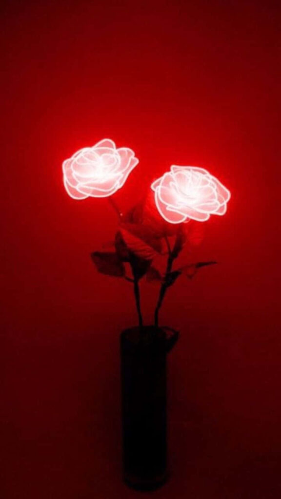 Glowing Red Roses Wallpaper: Modern Minimalist Floral Design
