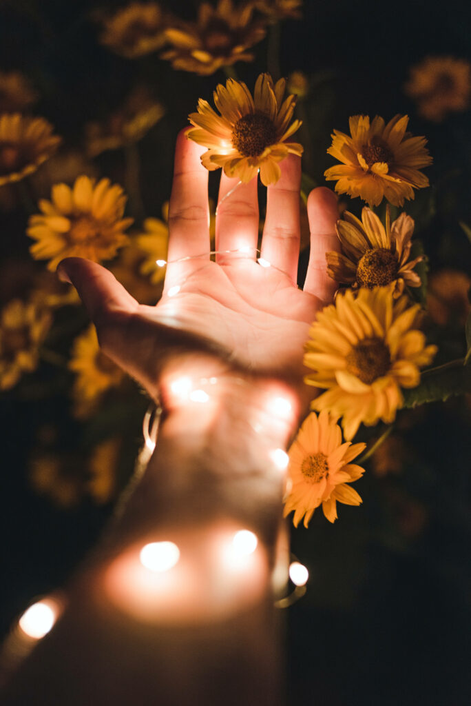 Hand wrapped in glowing string lights among vibrant yellow flowers warm magical wallpaper background