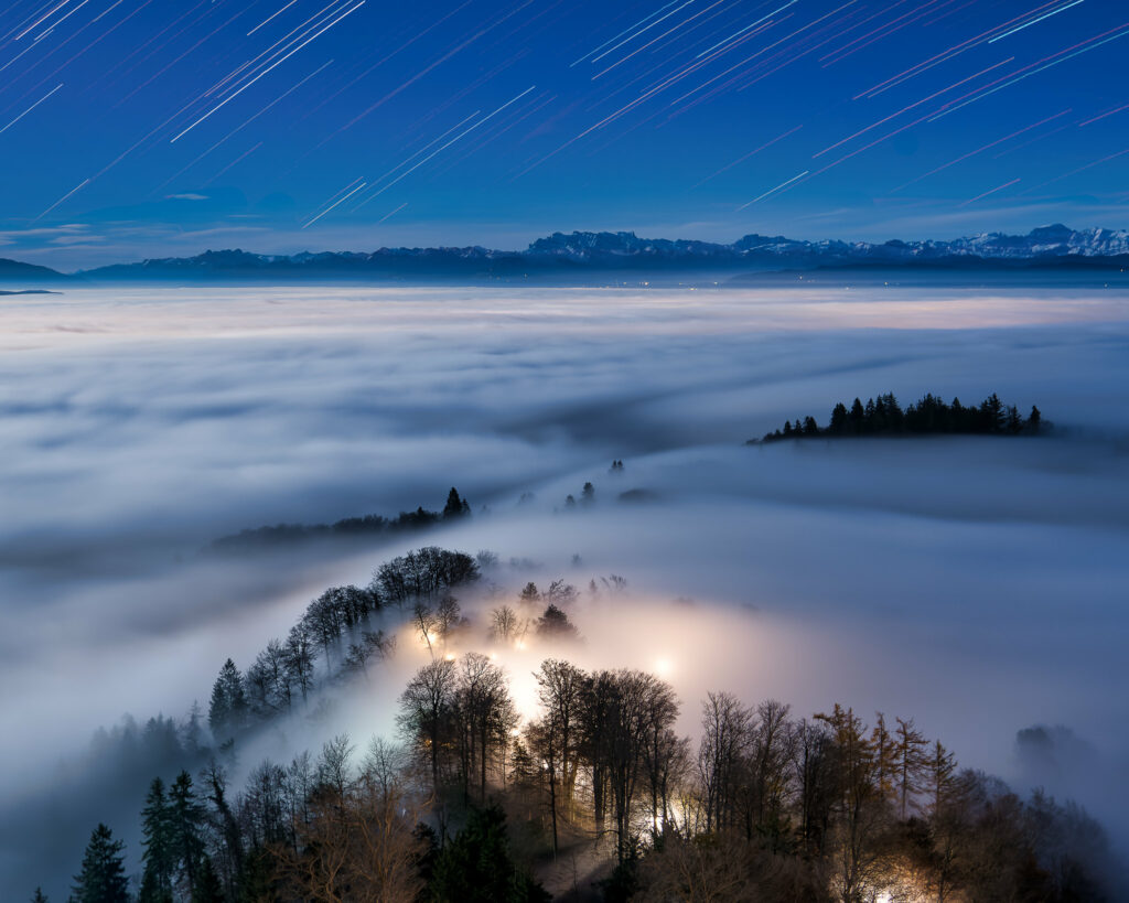 Glowing tree tops rise through fog under starry night sky vivid blue dreamy nature wallpaper