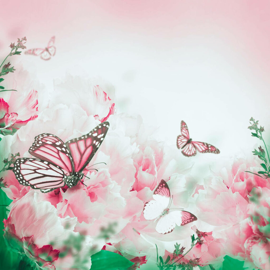 Pearly-winged Wonders: Mesmerizing Pink Butterflies Amidst a Serene Floral Haven Wallpaper