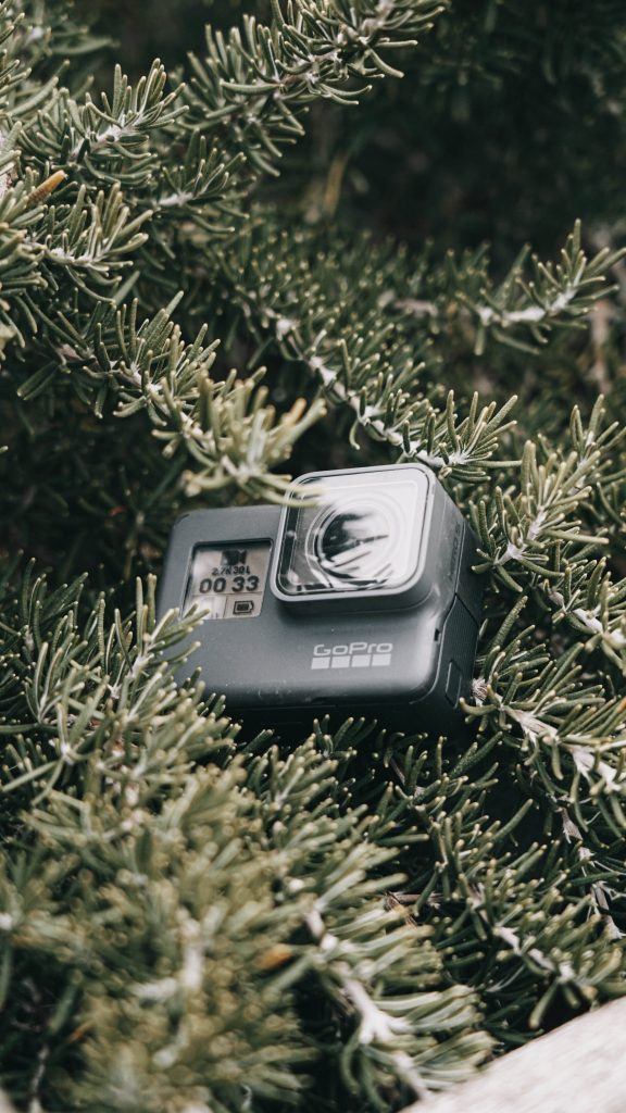 GoPro Hero 5 action camera in green foliage close-up sharp detail outdoor adventure wallpaper