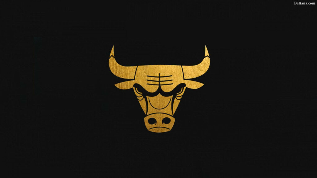 Chicago Bulls gold logo on black background sleek NBA wallpaper for desktop and mobile screens