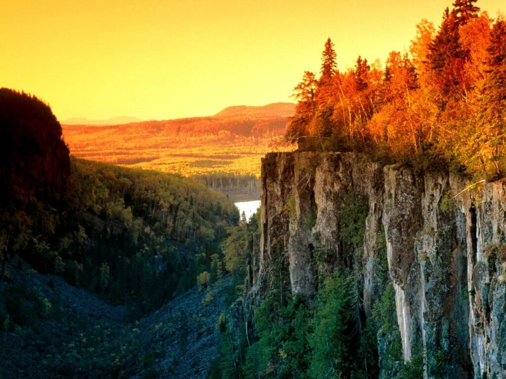 Dramatic cliff with vibrant autumn trees glowing in golden light over lush forest landscape Wallpaper