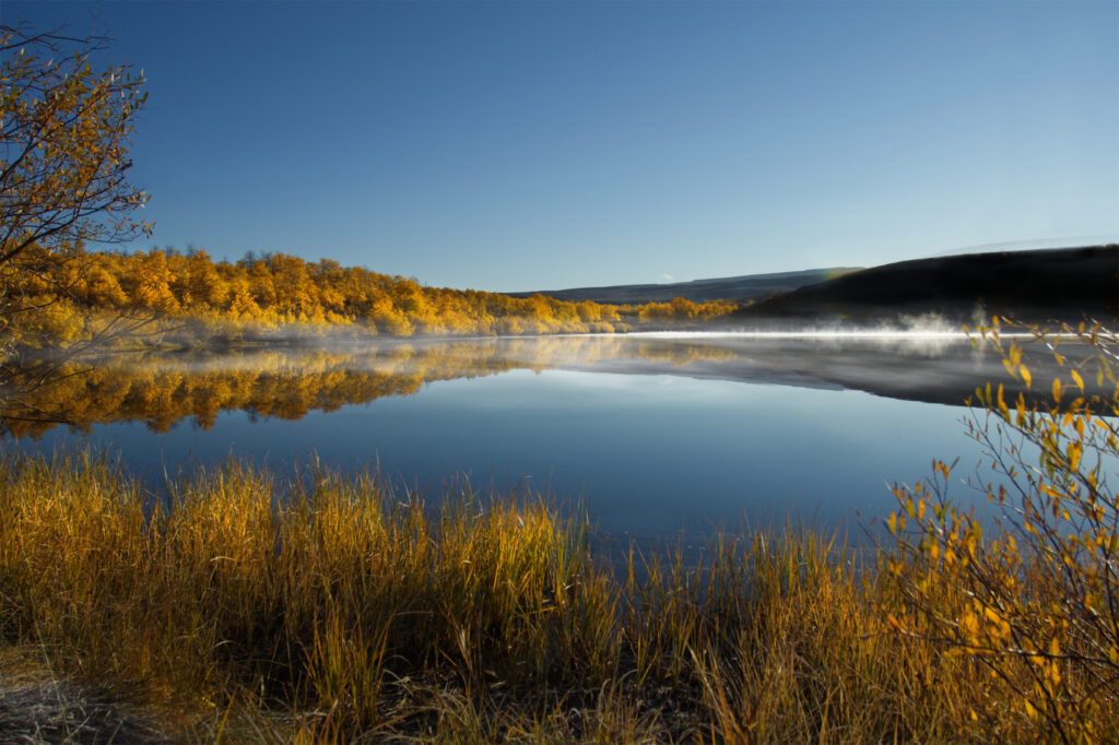 Serene autumn lake with golden trees reflecting on calm water under clear blue misty sky Wallpaper