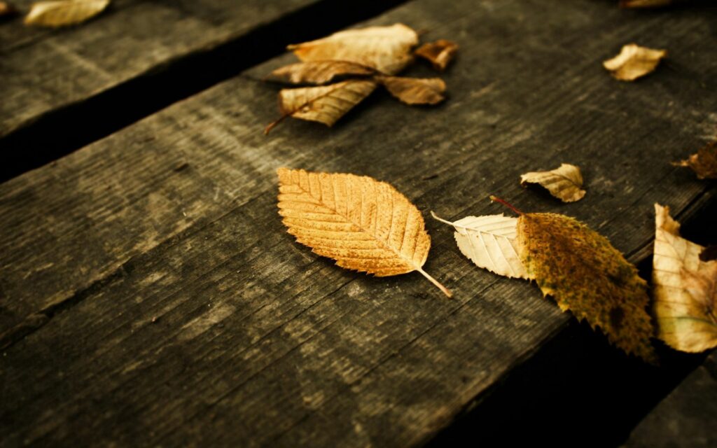 Golden autumn leaves on weathered gray wood boards rustic fall season wallpaper background