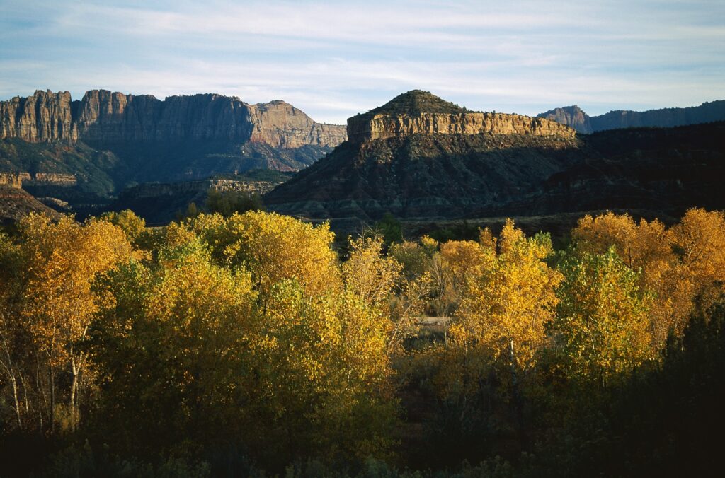 Evening mountain landscape with rugged cliffs and golden autumn trees in soft shaded light wallpaper