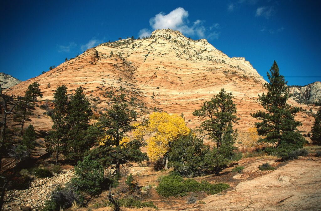 Mountain landscape with autumn trees under bright blue sky rugged rocky terrain wallpaper