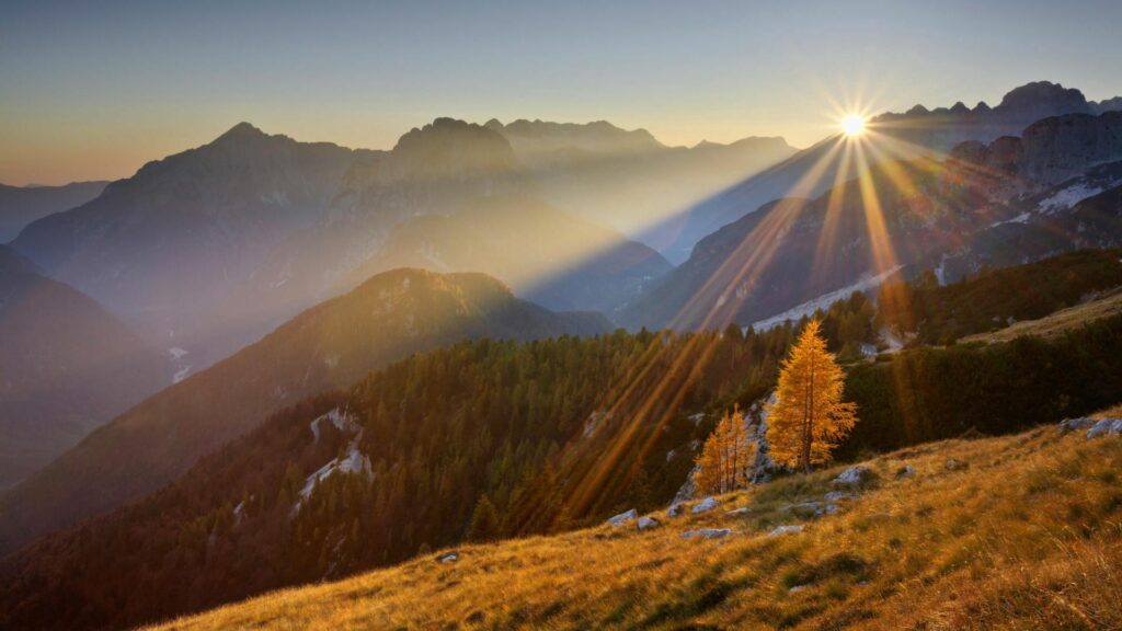 Golden sunlight illuminates autumn mountains with green and orange trees in a peaceful fall landscape Wallpaper