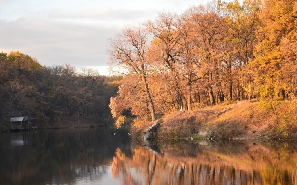 Golden autumn trees with orange and yellow leaves reflected on calm reservoir water serene landscape Wallpaper