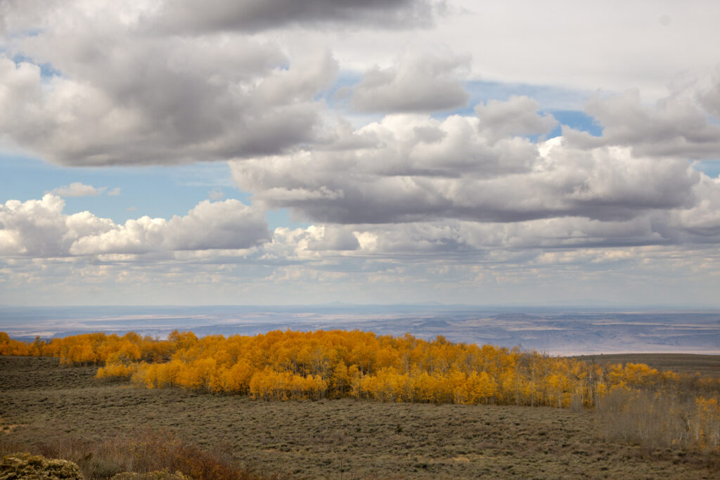 Golden autumn trees in tranquil valley under dramatic cloudy sky fall foliage landscape wallpaper