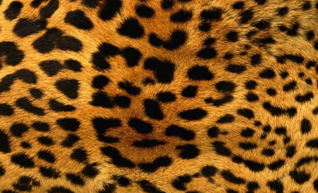 Wild Elegance: Captivating Leopard Print Fur Wallpaper in Shades of Gold and Black