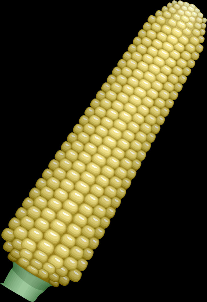 Vibrant Golden Corn Cob Wallpaper with Green Husk - PNG Background