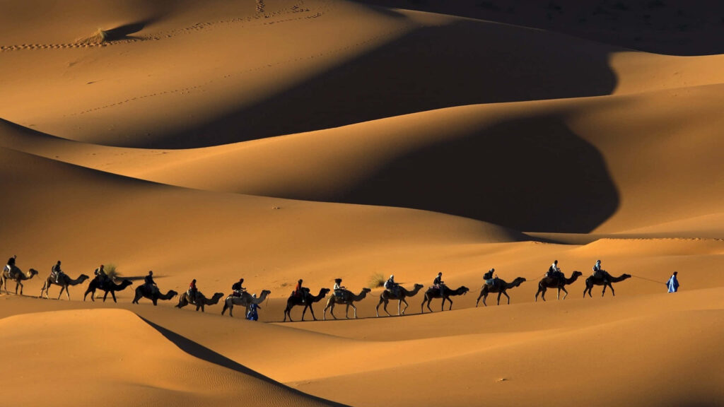 Caravan of camels crossing golden sand dunes in vast desert landscape under dramatic shadows Wallpaper