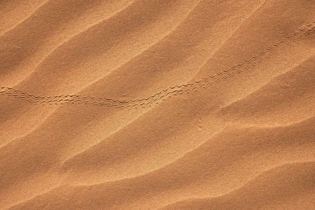 Smooth desert dunes in golden tones with a delicate zigzag trail minimalist wallpaper background