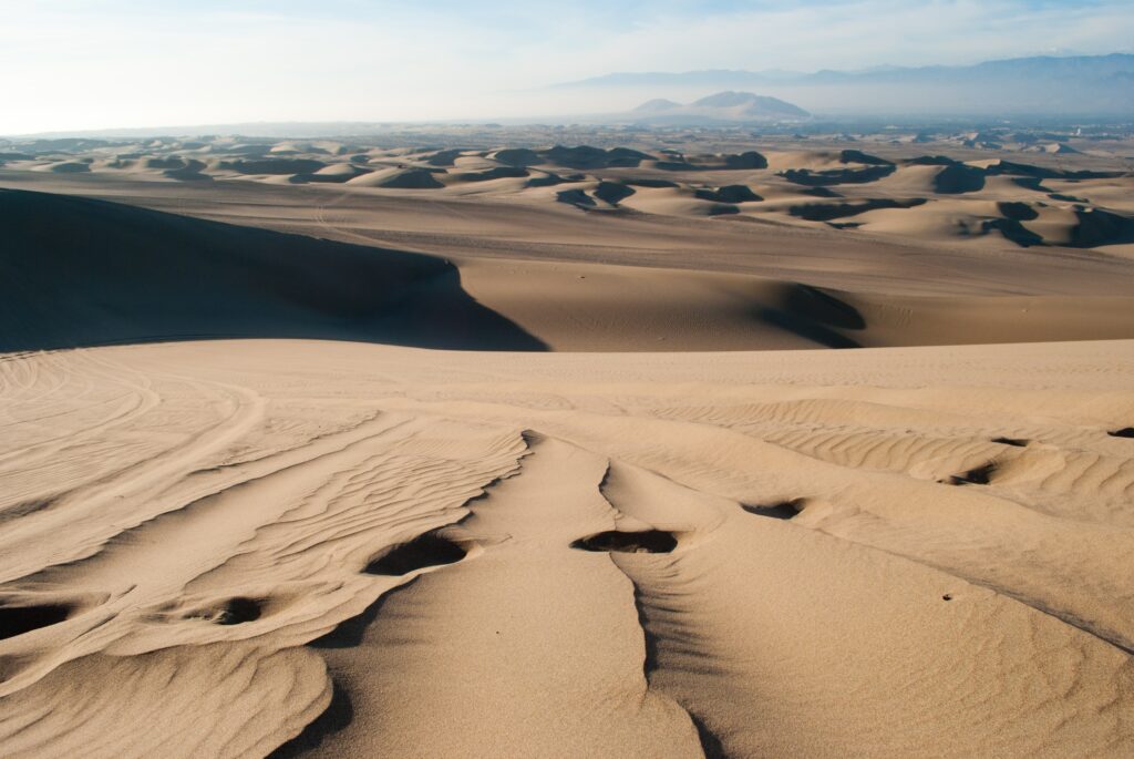Vast golden desert dunes with textured shadows and soft sunlight showcasing serene beauty Wallpaper