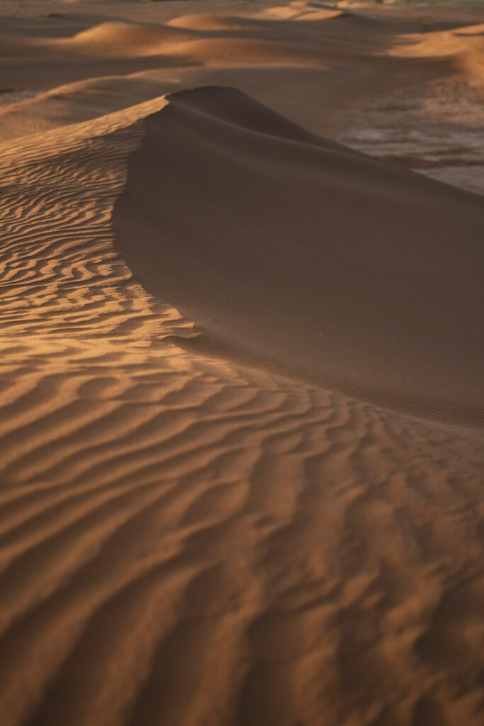 Golden desert sand dunes with wavy textures bathed in warm sunlight creating serene patterns Wallpaper