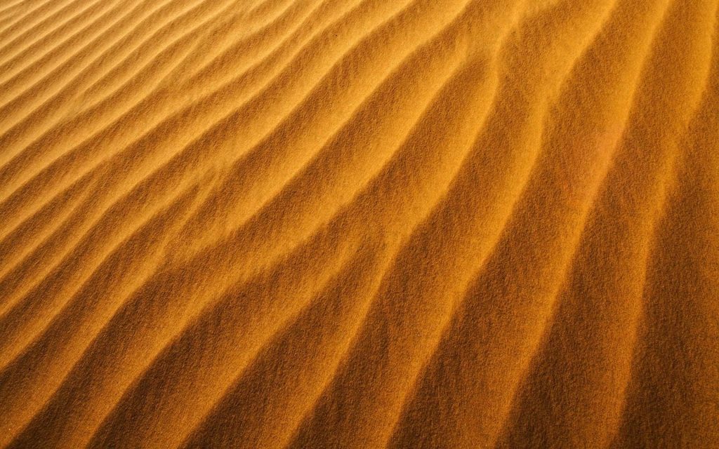 Golden desert sand dunes with wind-swept ripples and warm amber hues textured by side lighting Wallpaper
