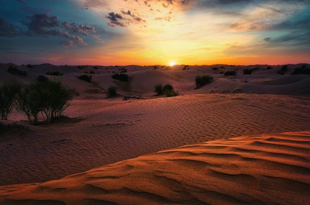 Sunset desert landscape with golden sand dunes green bushes and colorful cloudy sky wallpaper