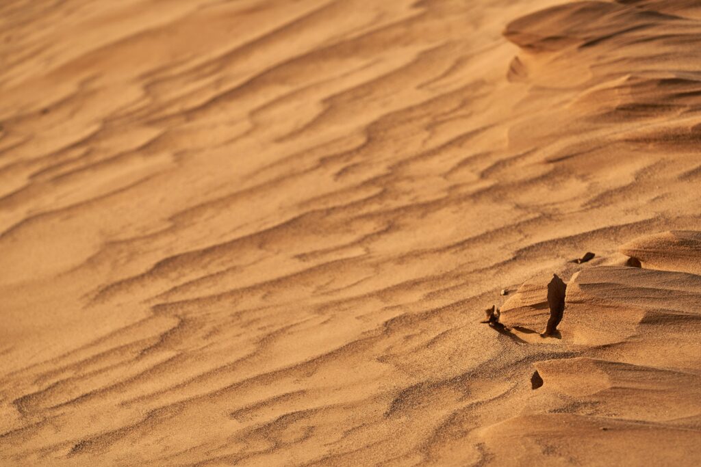 Golden desert landscape with wavy sand patterns and sunlit rippled textures wallpaper background
