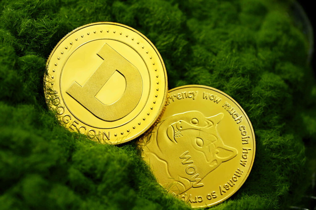 Two golden Dogecoin coins on green moss with Doge meme face and bold D logo wallpaper background