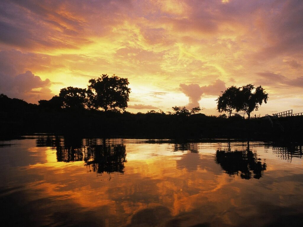 Evening sky with golden clouds reflecting on calm lake surrounded by silhouetted trees at sunset Wallpaper