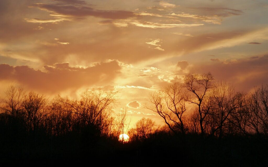 Warm evening sunset with golden orange sky and tree silhouettes creating serene nature scene Wallpaper