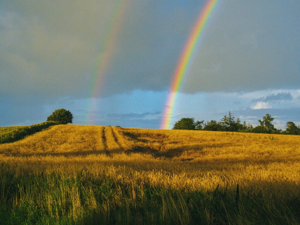 Golden field sunlight rain two vibrant rainbows dramatic sky serene nature landscape wallpaper