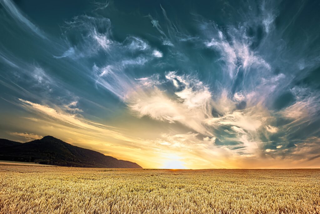 Golden field under dramatic swirling clouds with vibrant blue and orange sky landscape wallpaper