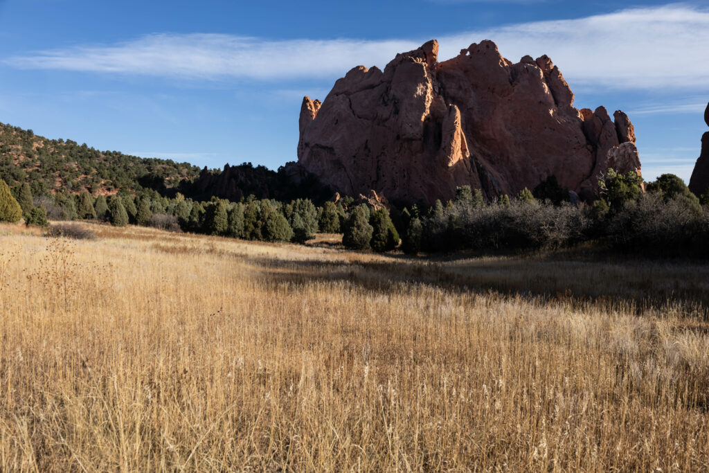 Rocky formation in golden grass field with green shrubs under clear blue sky wallpaper background