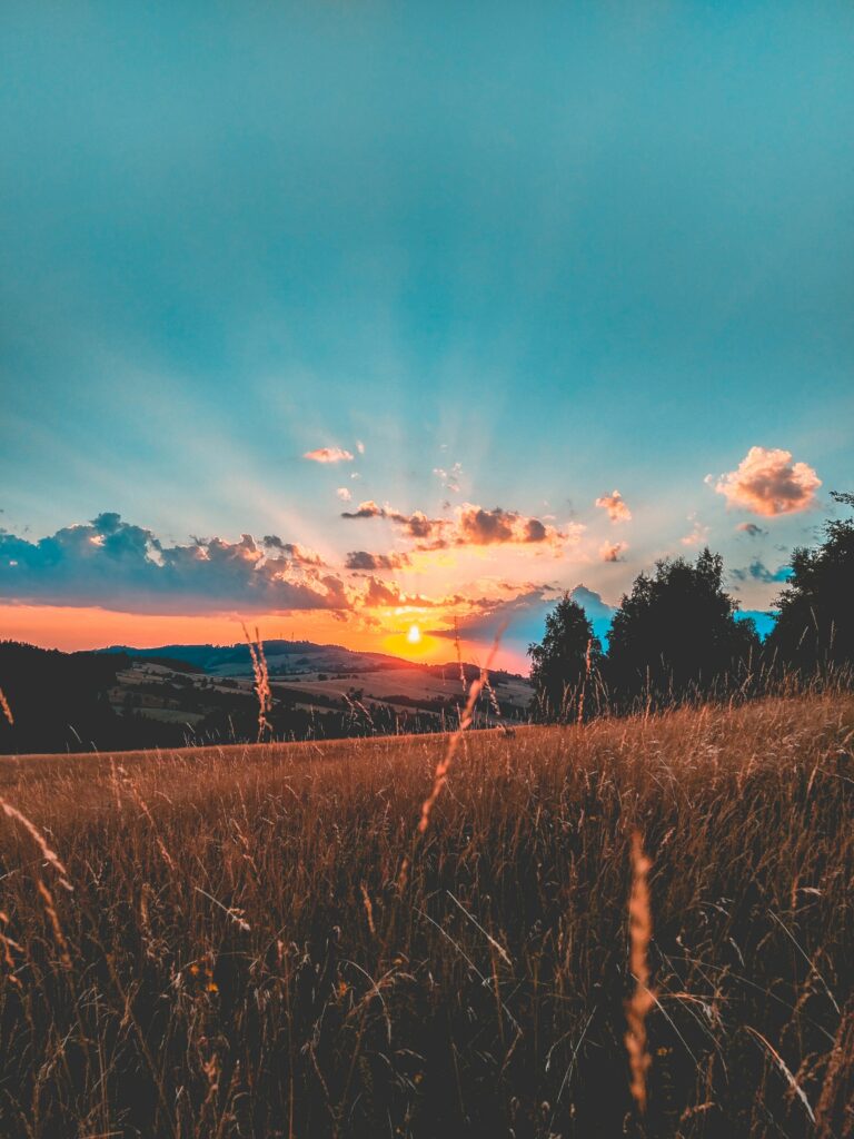 Sunset over golden grass field with dramatic rays and vibrant orange and blue sky background Wallpaper