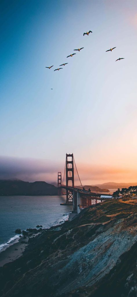 Golden Gate Bridge sunset wallpaper with birds over misty cliffs serene San Francisco view
