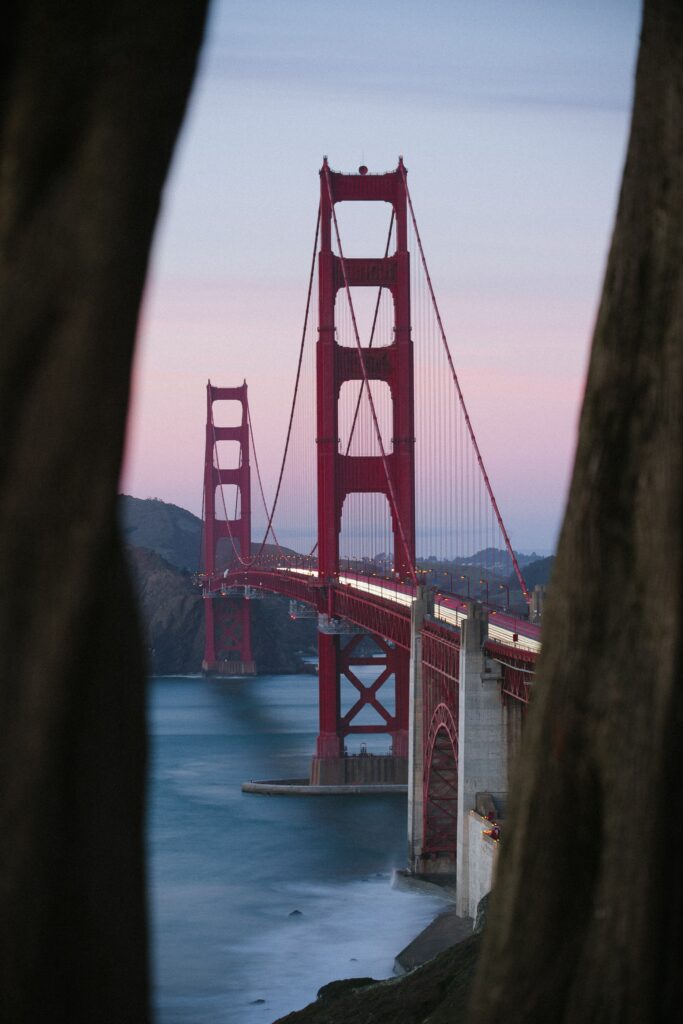 Golden Gate Bridge Wallpaper: Serene Dusk Amidst Tree Trunks