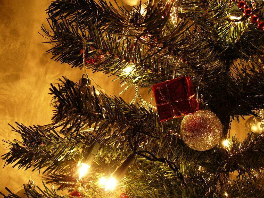 Radiant Yellow Glow: Festive Christmas Tree Background Wallpaper