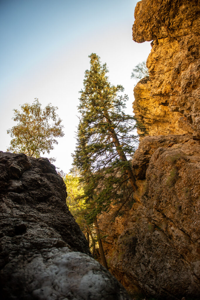 Stunning wallpaper of rugged rocks lush trees and dramatic gorge with warm golden hues and deep greens