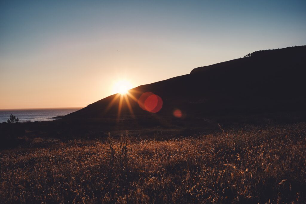 Serene landscape with golden grass at sunset under clear evening sky wallpaper background