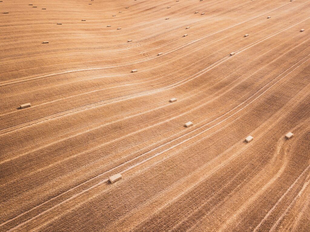 Aerial view of golden dry field with flowing crop rows and scattered hay bales wallpaper background