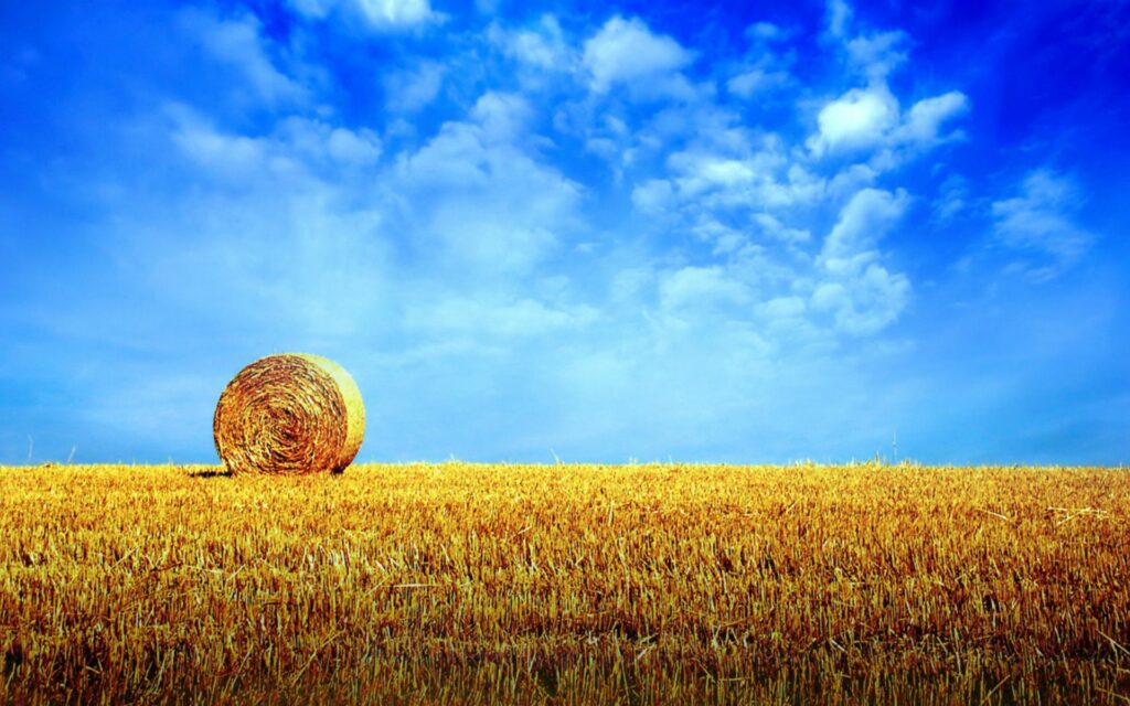 Golden hay bale in open field under blue sky with fluffy clouds peaceful rural landscape Wallpaper