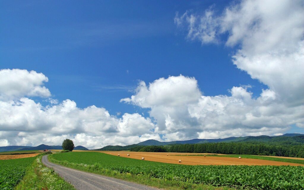 Rural field with golden hay bales tree-lined road and distant mountains under blue sky wallpaper